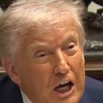 Is US President Trump smarter or dumber than the Supreme Court justices?